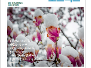 2023-1호 소식지 (2022년 4/4분기 결산
